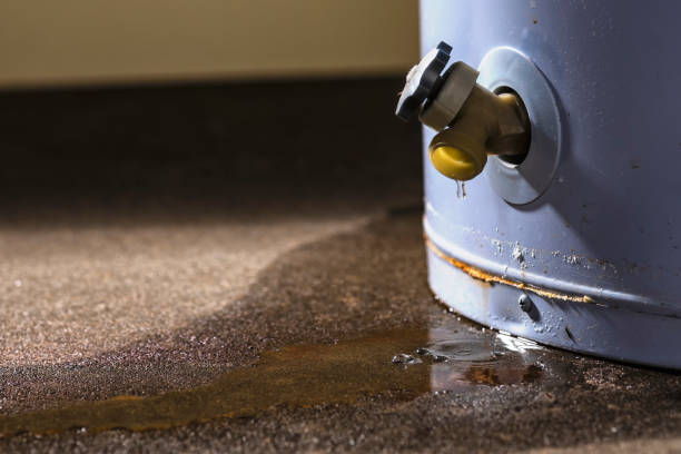 Best Water damage restoration insurance claims  in Yreka, CA