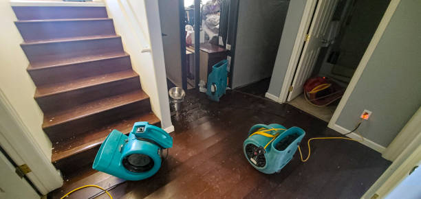 Best Flood damage cleanup  in Yreka, CA