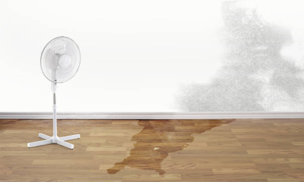 Best Water damage mitigation services  in Yreka, CA