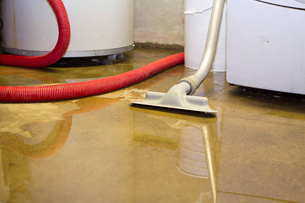 Best Water damage restoration near me  in Yreka, CA