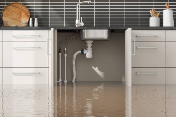 Best Water damage contractors near me  in Yreka, CA