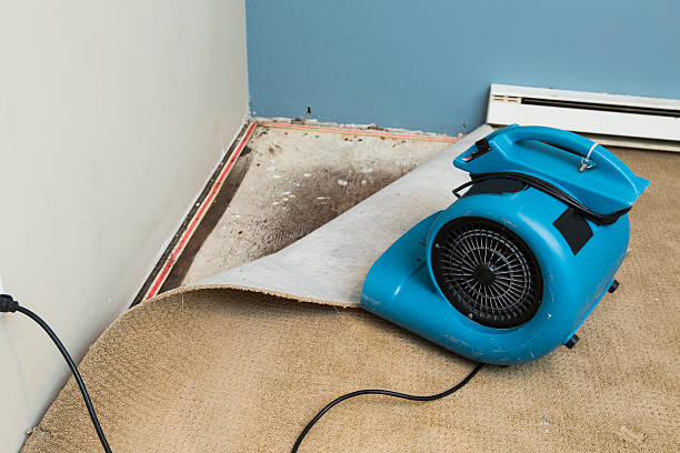 Best Carpet water damage restoration  in Yreka, CA